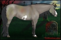 Horse Color:Grullo Frame 