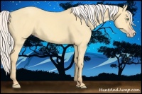 Horse Color:Silver Amber Cream Champagne Dun Sabino 