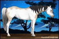 Horse Color:Bay Roan Dun Sabino Splash Frame