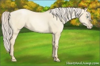 Horse Color:Palomino Pearl Dun 