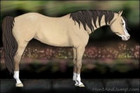 Horse Color:Sable Champagne Dun Splash 