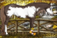 Horse Color:Liver Chestnut Frame 