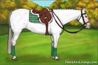 Horse Color:Liver Red Dun Appaloosa 