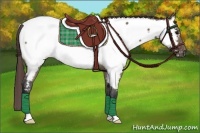 Horse Color:Brown Dun Appaloosa 