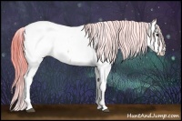 Horse Color:Watercolor Red Onyx Appaloosa