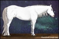 Horse Color:Watercolor Red Onyx Fewspot 