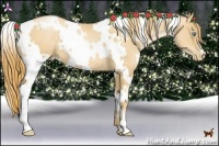 Horse Color:White Spotted Gold Champagne Pearl 
