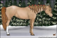 Horse Color:Chestnut Pearl 