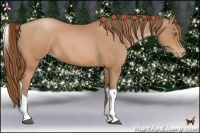 Horse Color:Brown Pearl Tobiano 