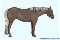 Horse Color:Silver Black 