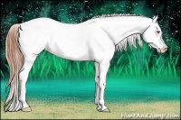 Horse Color:Gold Champagne Onyx Appaloosa 
