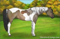 Horse Color:Brown Dun Tobiano 