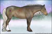 Horse Color:Liver Chestnut Rabicano 