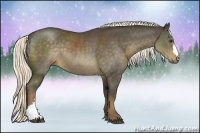 Horse Color:Liver Chestnut Rabicano 