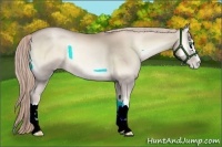 Horse Color:White Spotted Chocolate Palomino Pearl Onyx Sabino