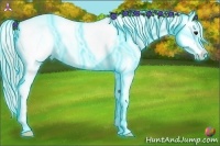 Horse Color:Thunderstruck Plaid  Silver Bay Splash Frame Appaloosa Rabicano 