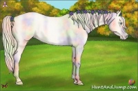 Horse Color:Nacre Silver Classic Cream Champagne Roan Pearl Dun