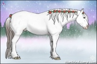 Horse Color:Brown Appaloosa 