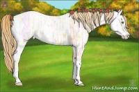 Horse Color:Gold Champagne Ice Roan Sabino 