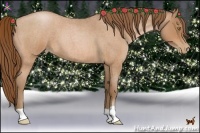 Horse Color:Bay Roan Pearl