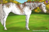 Horse Color:White Spotted Silver Buckskin 