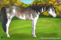 Horse Color:Brown Splash 