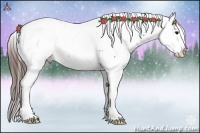 Horse Color:Brown Snowflake Varnish