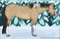 Horse Color:Bay Dun Splash Tobiano