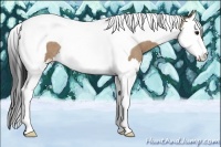 Horse Color:Bay Roan Dun Splash Tobiano