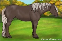 Horse Color:Silver Black