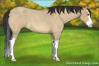 Horse Color:Bay Roan Dun Splash