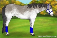 Horse Color:White Spotted Smoky Grullo Roan 