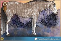 Horse Color:White Spotted Liver Red Dun Splash and White Spotted Liver Red Dun Splash