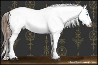 Horse Color:White Spotted Brown Roan Splash Snowflake Varnish