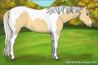 Horse Color:Silver Buckskin Dun Tobiano 