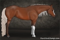 Horse Color:Silver Bay 