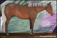 Horse Color:Silver Brown Sabino 