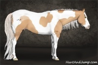 Horse Color:Silver Amber Champagne Splash Tobiano