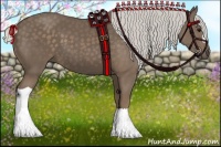 Horse Color:Silver Black