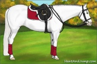 Horse Color:Silver Amber Champagne Roan Dun Splash Tobiano Frame Blanket Rabicano 