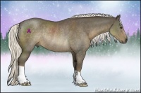 Horse Color:Liver Chestnut Rabicano