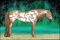 Horse Color:Chestnut Frame
