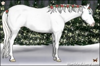 Horse Color:Silver Classic Champagne Pearl Dun Appaloosa
