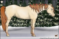 Horse Color:Amber Champagne Pearl Dun 