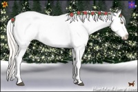 Horse Color:Silver Bay Pearl Sabino Appaloosa 