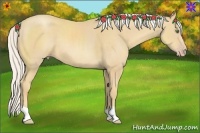 Horse Color:Silver Classic Cream Champagne 