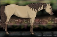 Horse Color:Liver Red Dun 