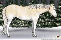 Horse Color:White Spotted Silver Bay Pearl Dun Splash