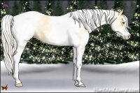 Horse Color:White Spotted Silver Bay Pearl Dun Tobiano 