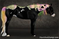 Horse Color:Watercolor Plaid Liver Red Dun Splash and Watercolor Plaid Liver Red Dun Splash